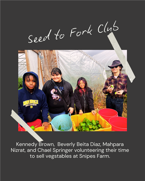 Seed to Fork